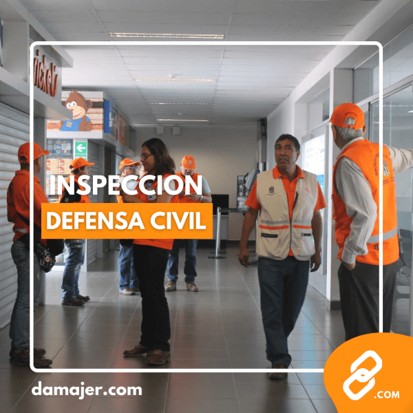 inspeccion defensa civil