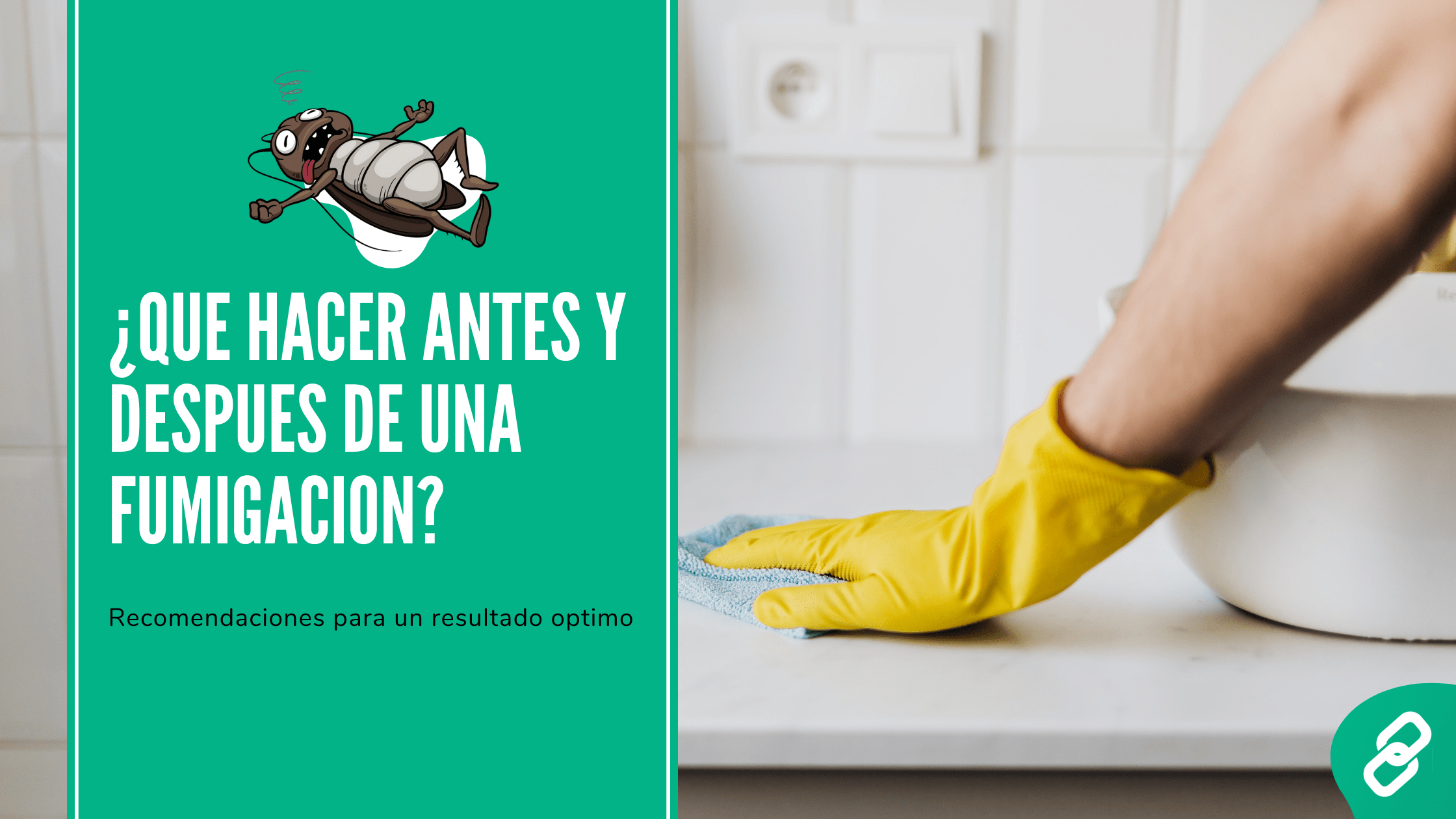 ¿que hacer antes y despues de una fumigacion?