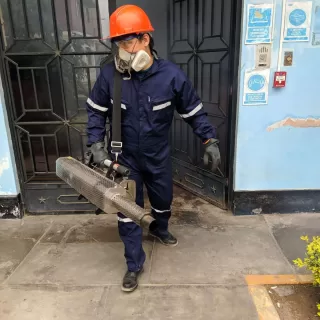 Fumigación con Termonebulizado en áreas menores a 100 m2