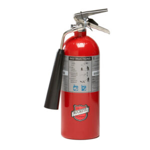 Extintor buckeye co2-bc de 5 Lbs Modelo: 45100